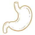 DIGESTION LÉGÈRE