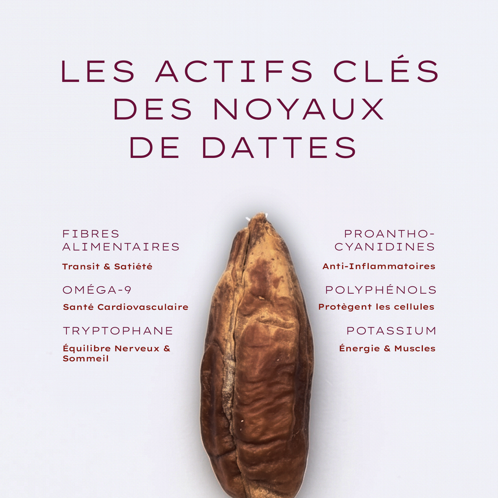 DATÉ – Café aux noyaux de dattes (200g)