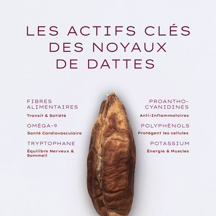 DATÉ – Café aux noyaux de dattes (200g)